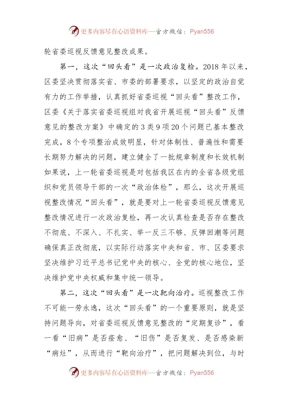 在巡视巡察整改回头看动员大会上的讲话.docx_第2页