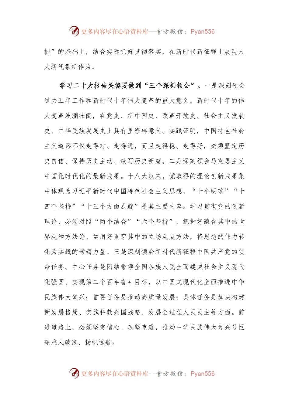 在市人大常委会会议上的讲话.docx_第2页