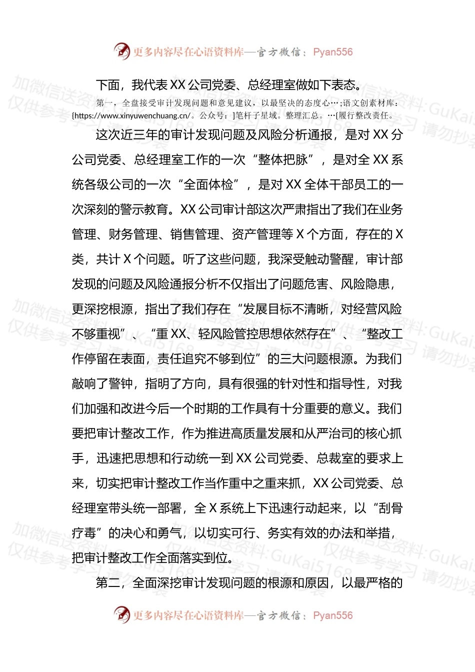 在公司审计谈话会议上的表态发言 (1).docx_第2页