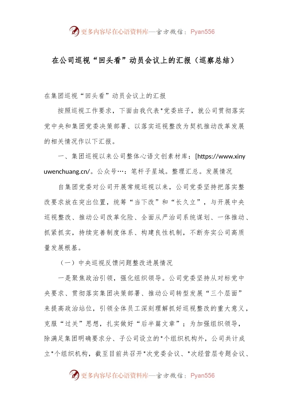 在公司巡视“回头看”动员会议上的汇报（巡察总结）.docx_第1页
