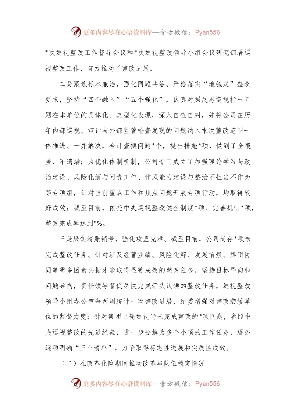 在公司巡视“回头看”动员会议上的汇报（巡察总结）.docx_第2页