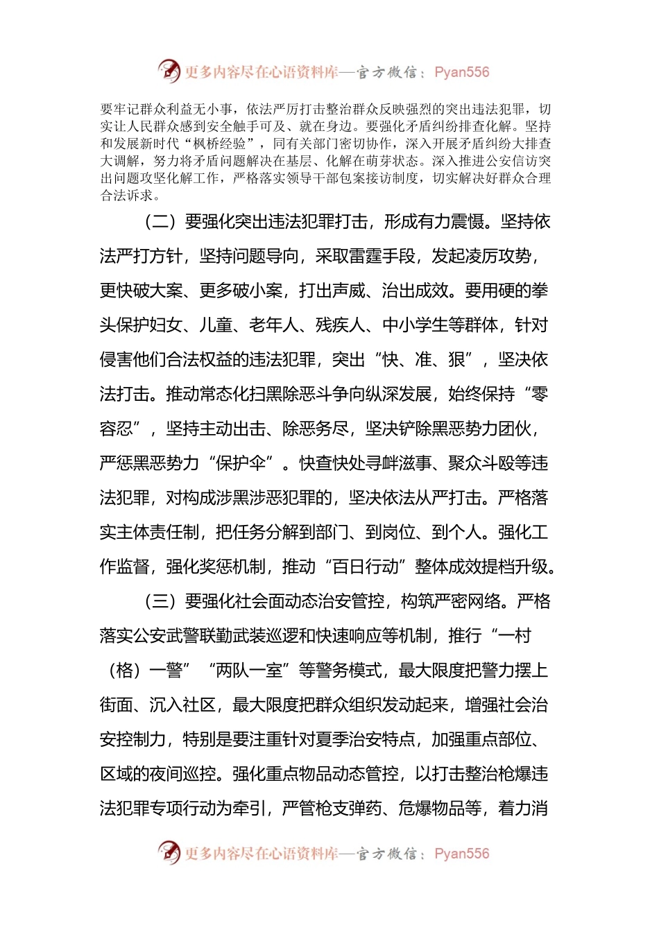 在市级公安夏季治安打击整治“百日行动”工作推进会上的讲话.docx_第2页
