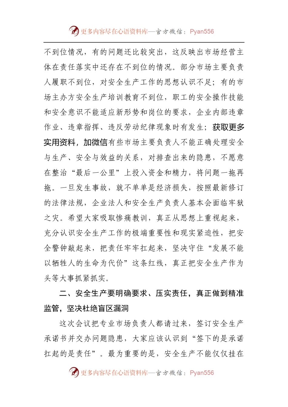 在全区商贸领域安全生产专题会议上的讲话[2].docx_第2页