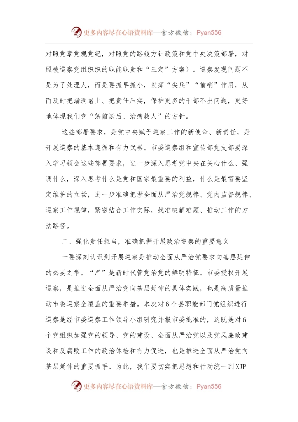 在巡察县委宣传部党支部动员会上的讲话.docx_第2页