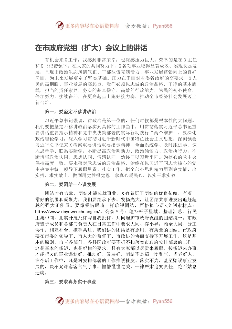在市政府党组（扩大）会议上的讲话.docx_第1页
