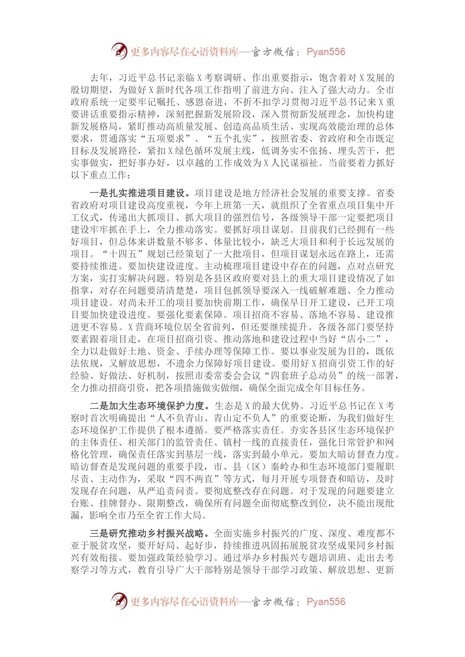 在市政府党组（扩大）会议上的讲话.docx_第2页