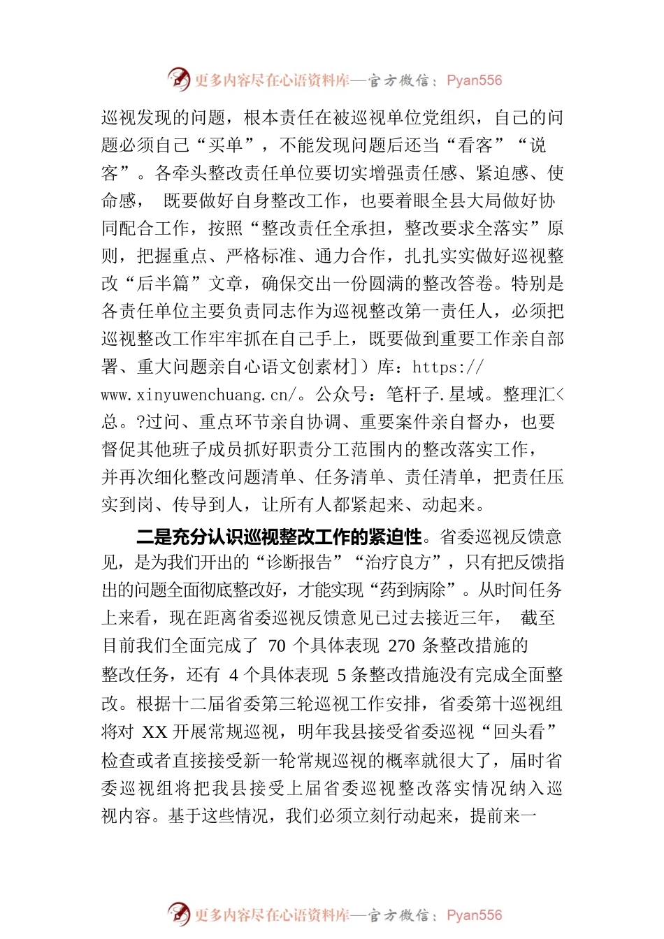 在巡视整改工作专题会上的讲话.docx_第2页