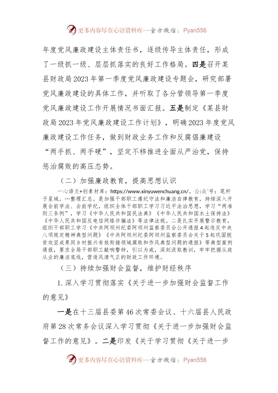 在XX届某县人民政府法治政府建设暨第X次廉政工作会上的发言.docx_第2页