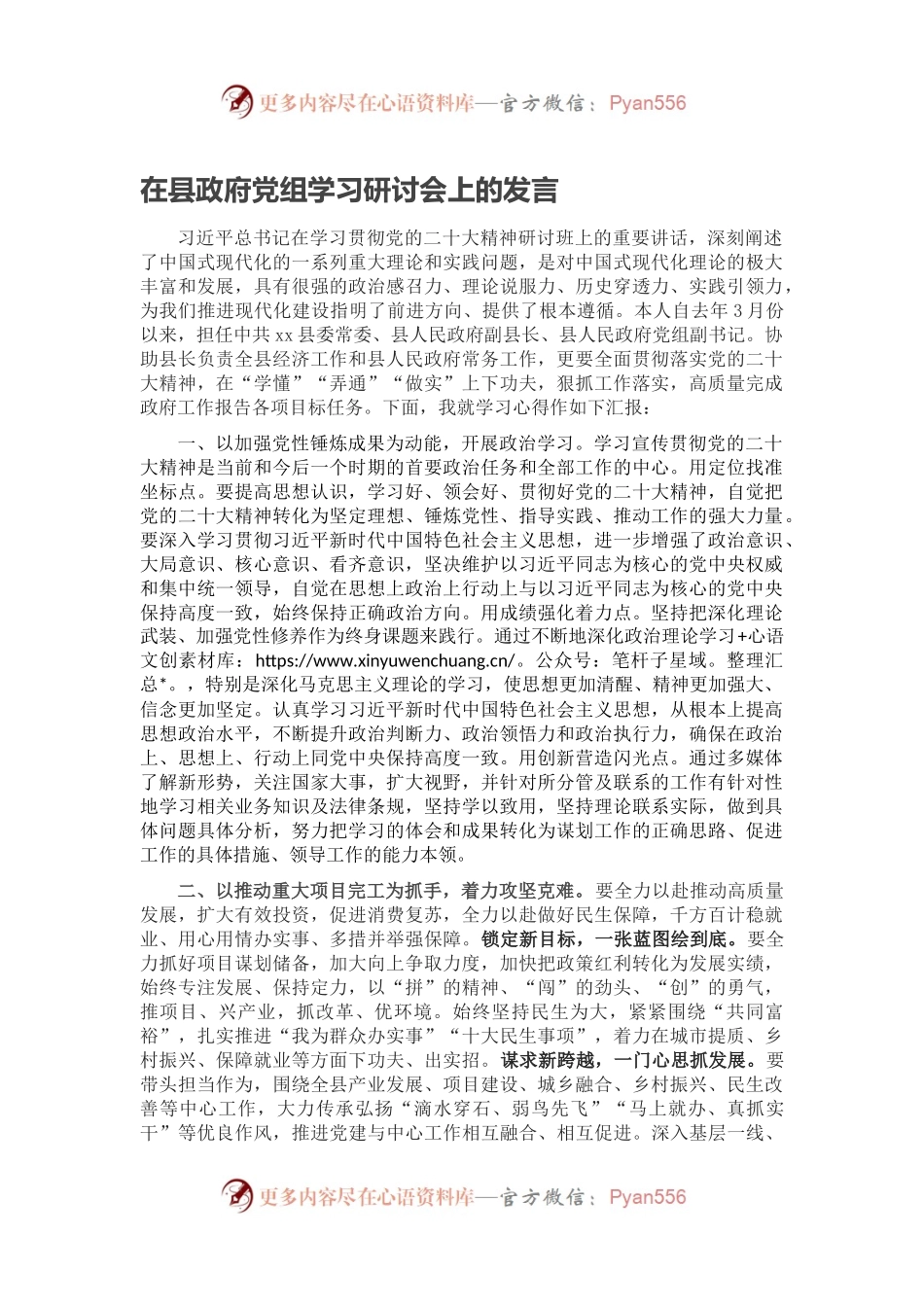 在县政府党组学习研讨会上的发言.docx_第1页