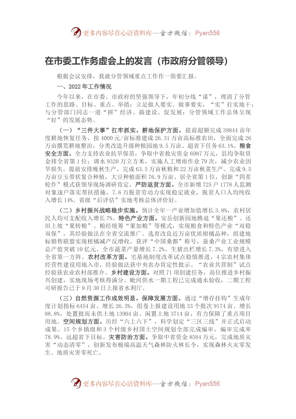 在市委工作务虚会上的发言（市政府分管领导）.docx_第1页