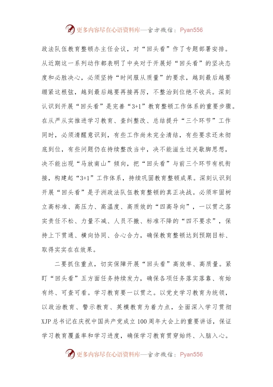 在全县政法队伍教育整顿“回头看”专题部署会上的讲话.docx_第2页