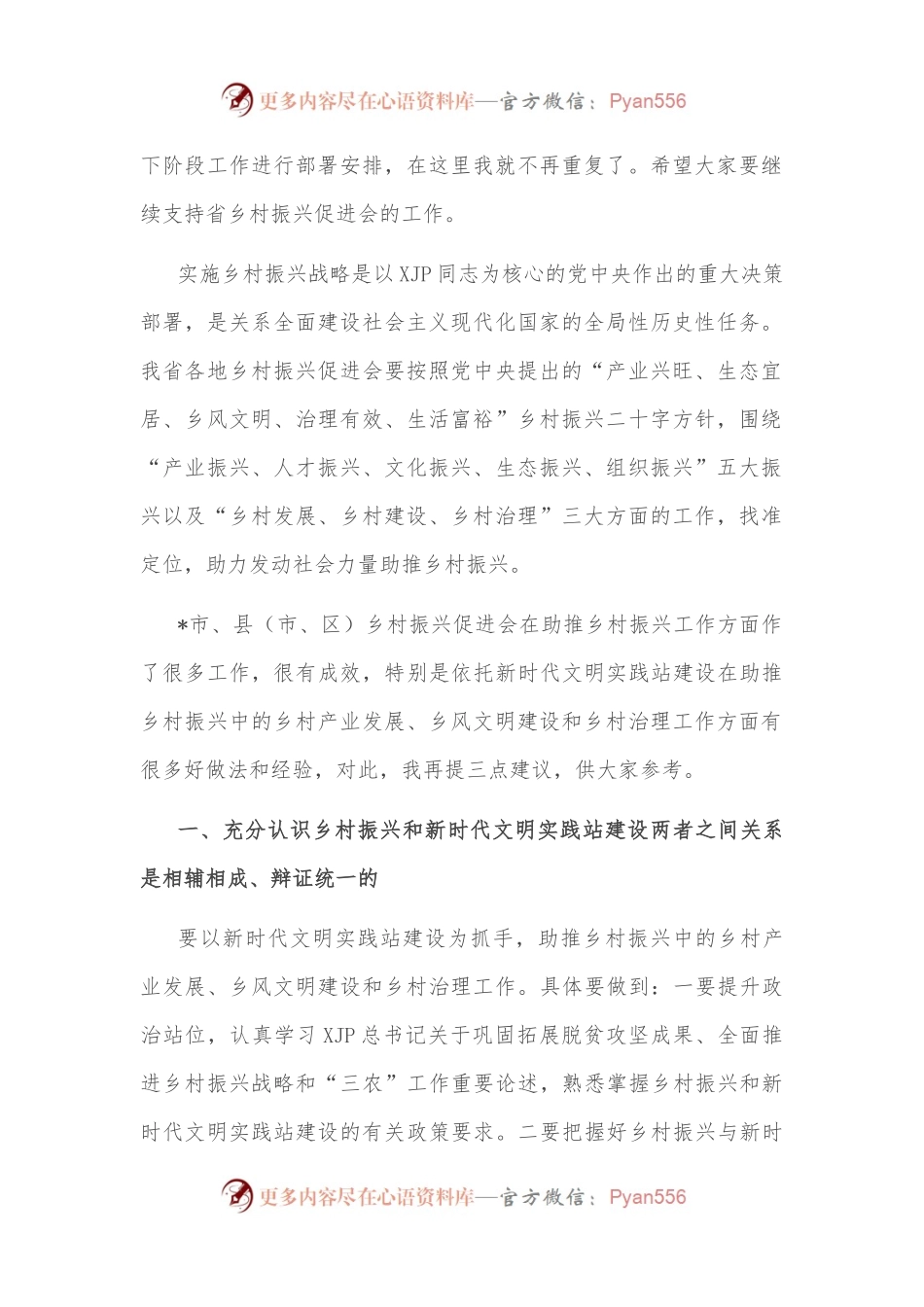 在市乡村振兴促进会新时代文明实践座谈会上的讲话.docx_第2页