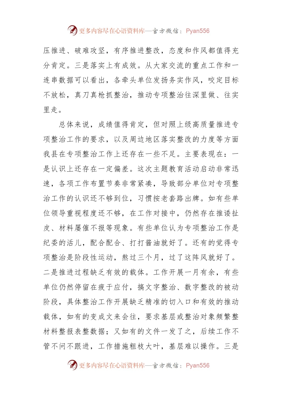 在主题教育10个专项整治工作交流会上的讲话稿.docx_第2页