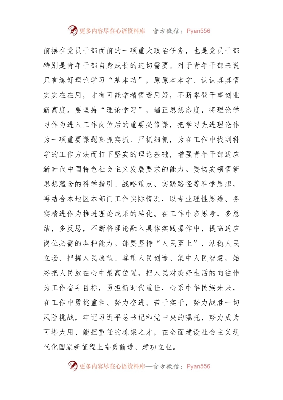 在团员和青年理论学习小组主题教育研讨会上的讲话提纲.docx_第2页