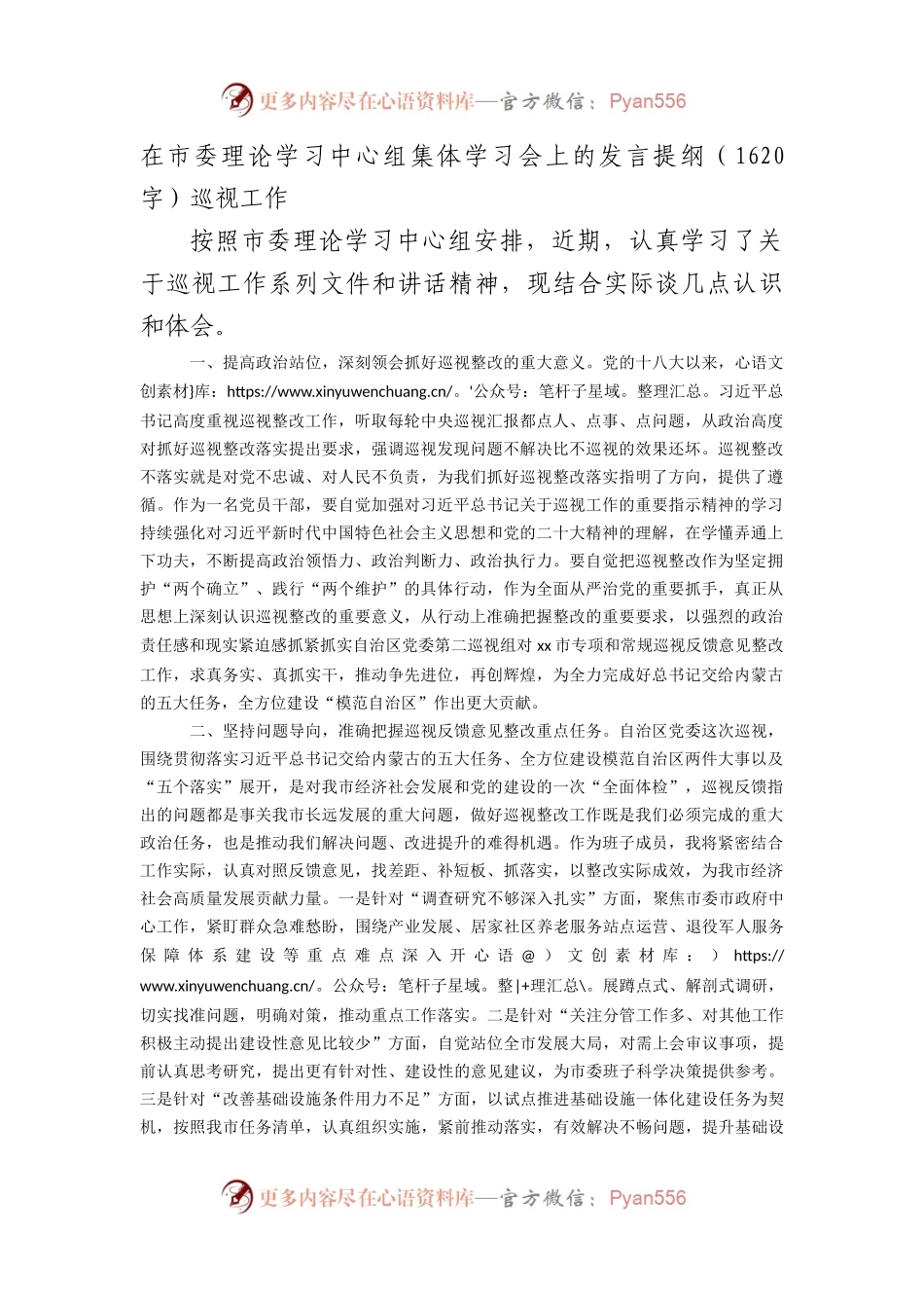 在市委理论学习中心组集体学习会上的发言提纲（巡视工作.docx_第1页