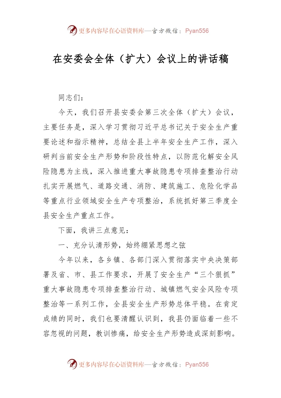 在安委会全体（扩大）会议上的讲话稿.docx_第1页