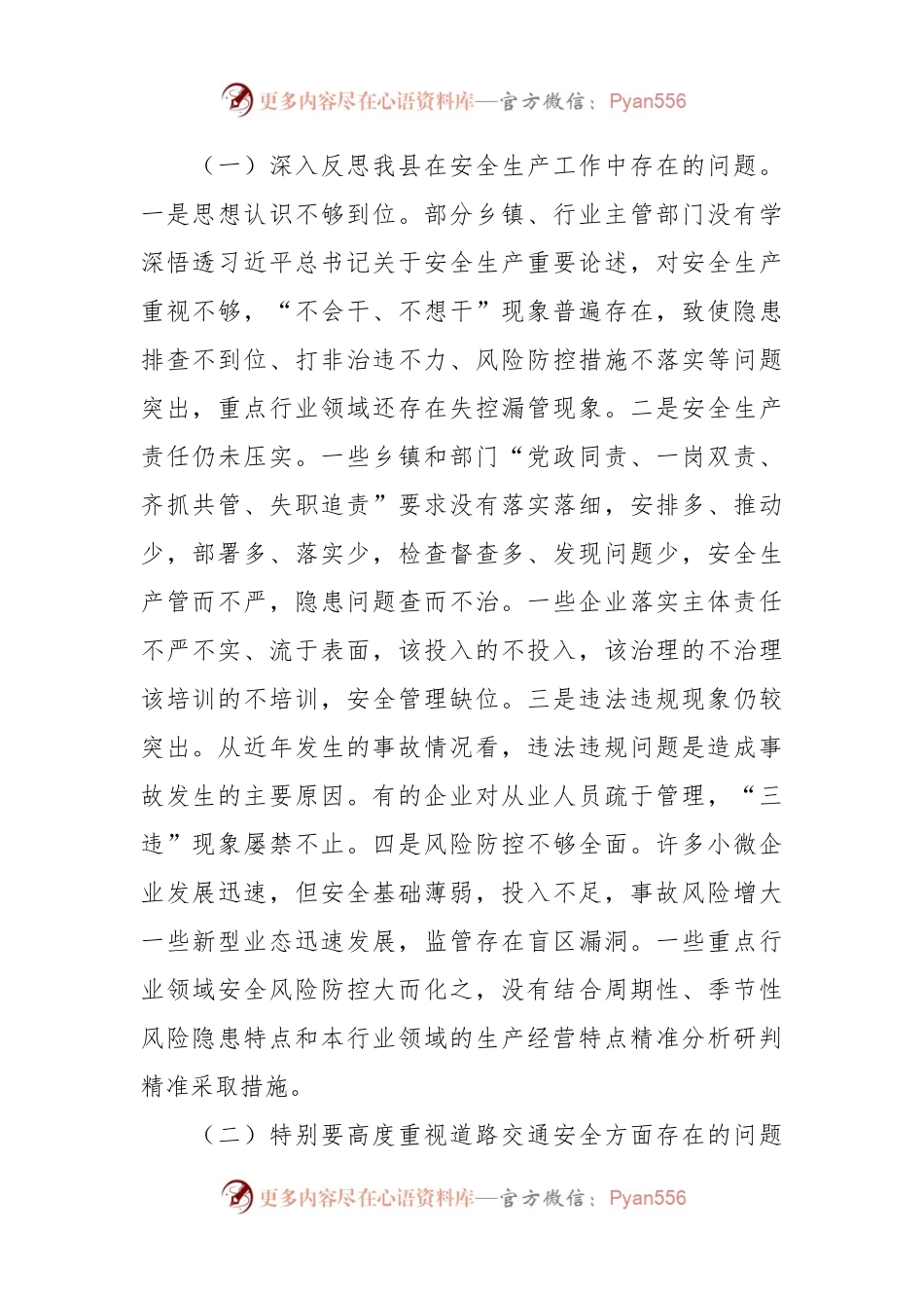 在安委会全体（扩大）会议上的讲话稿.docx_第2页