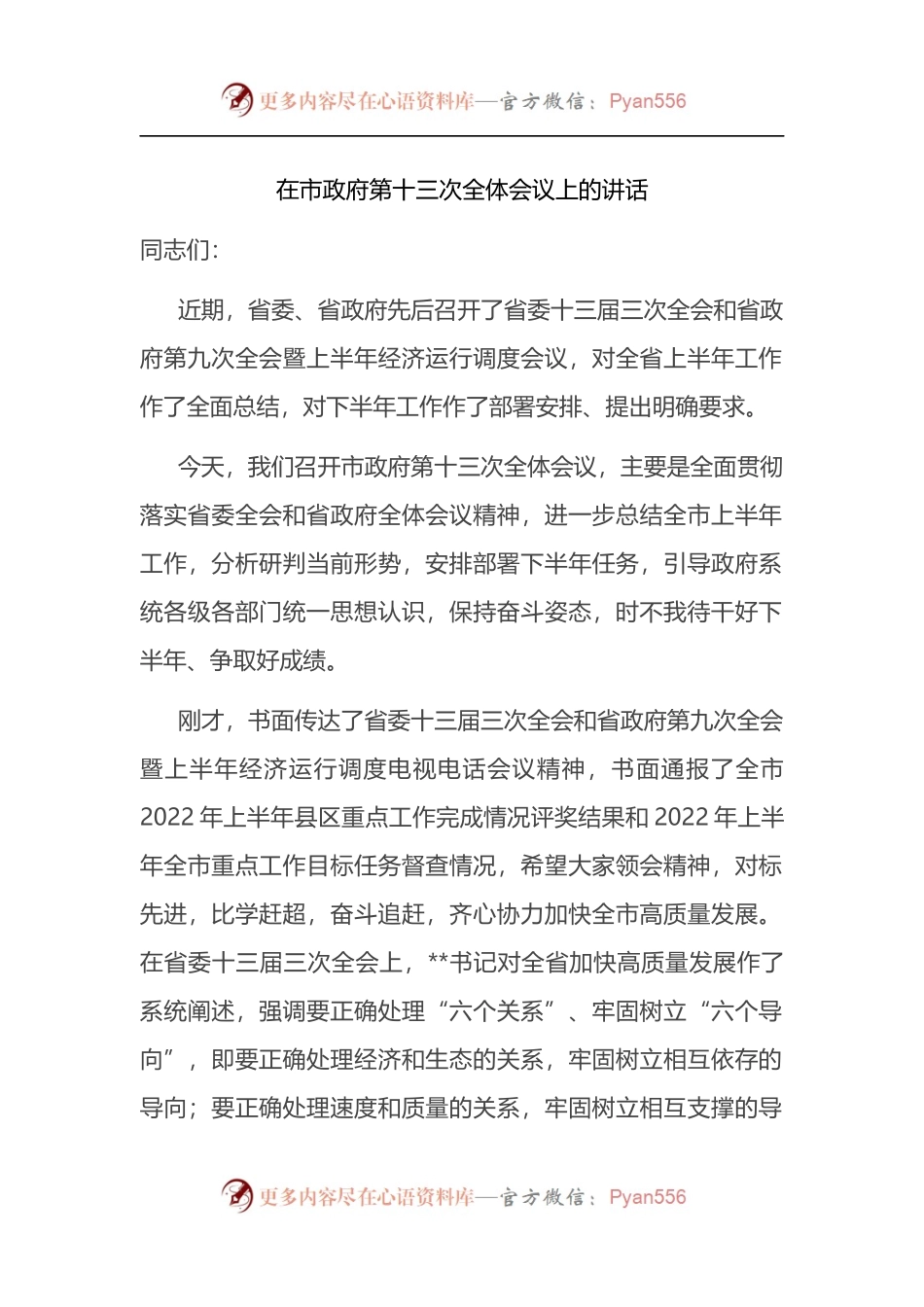 在市政府第十三次全体会议上的讲话.docx_第1页