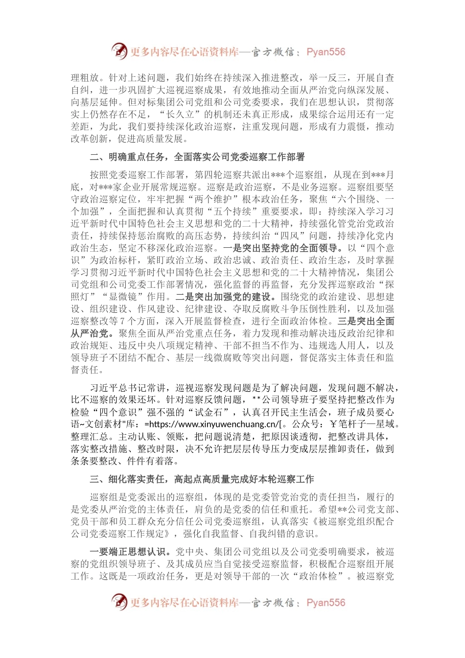 在国企巡察动员会上的讲话.docx_第2页