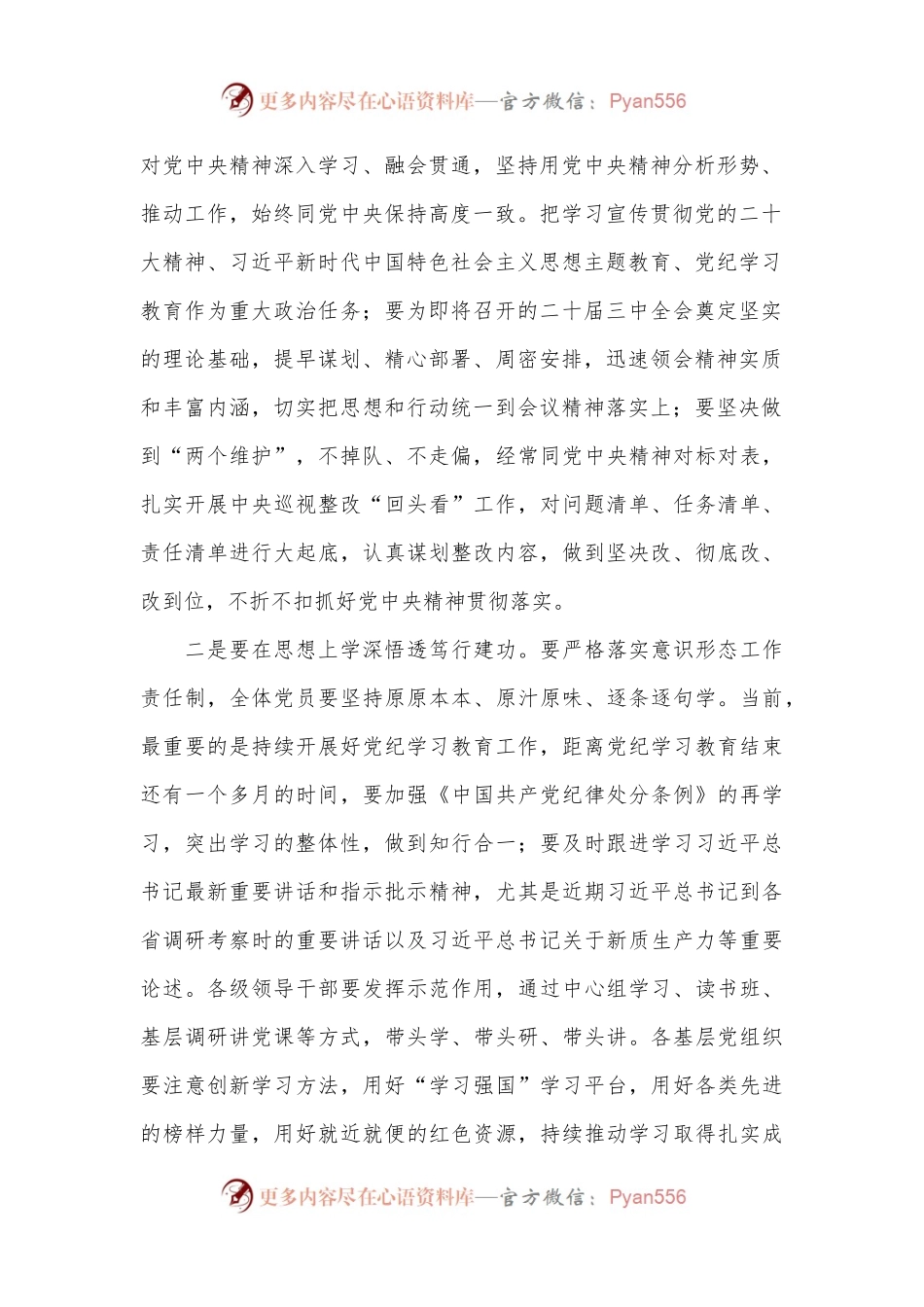 在公司2024年年中全面从严治党工作会议上的讲话.docx_第2页