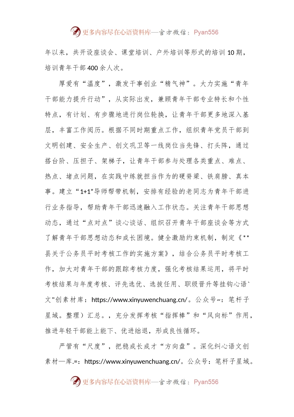 在全市青年干部队伍能力素质建设推进会上的汇报发言.docx_第2页