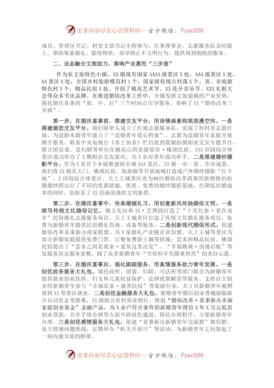 在全国婚俗改革试点县评估座谈会上的发言.docx_第2页
