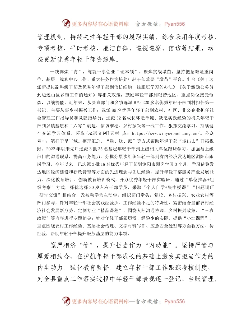 在全市年轻干部选育管用工作推进会上的汇报发言.docx_第2页