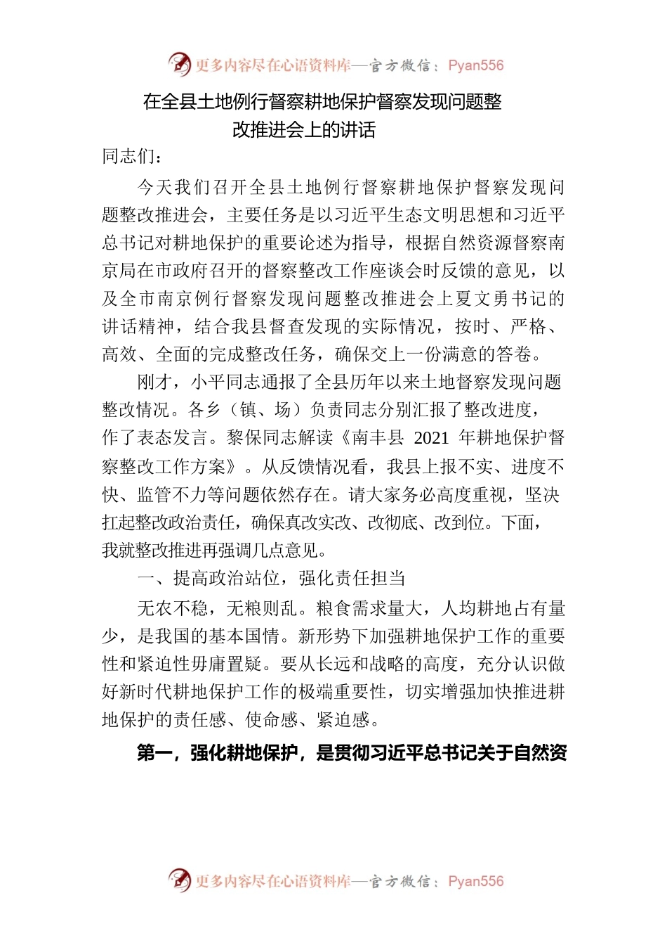 在全县土地例行督察耕地保护督察发现问题整改推进会上的讲话.docx_第1页