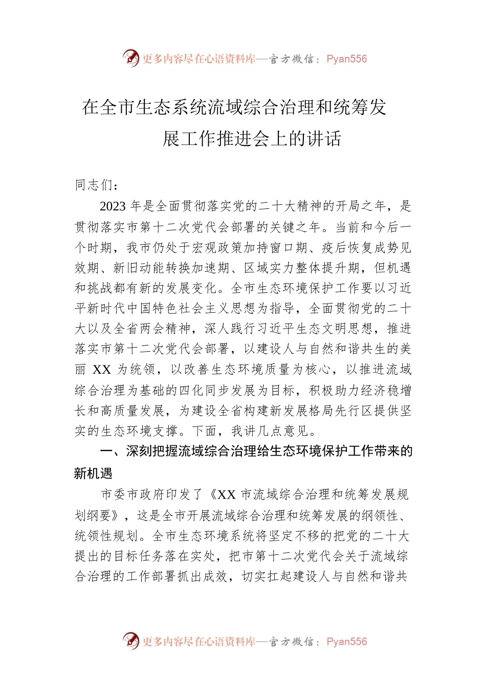 在全市生态系统流域综合治理和统筹发展工作推进会上的讲话.docx_第1页
