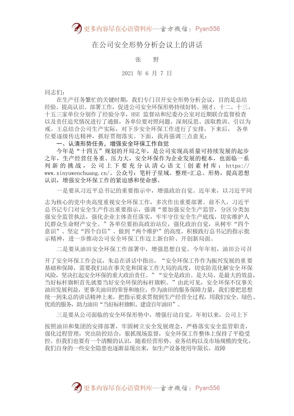 在公司安全形势分析会议上的讲话.docx_第1页