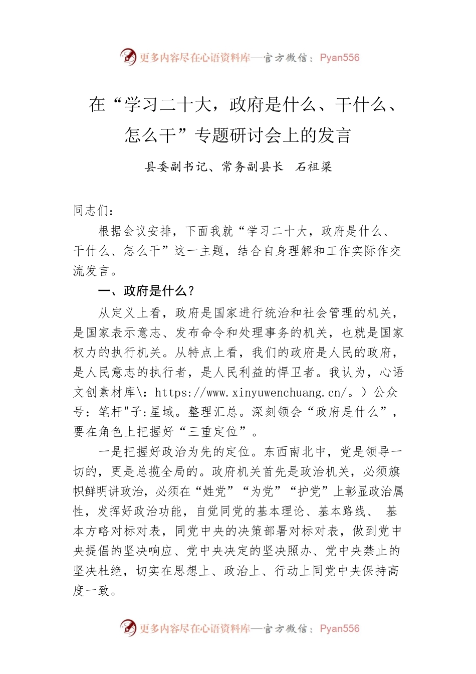 在“学习二十大，政府是什么、干什么、怎么干”专题研讨会上的发言.docx_第1页