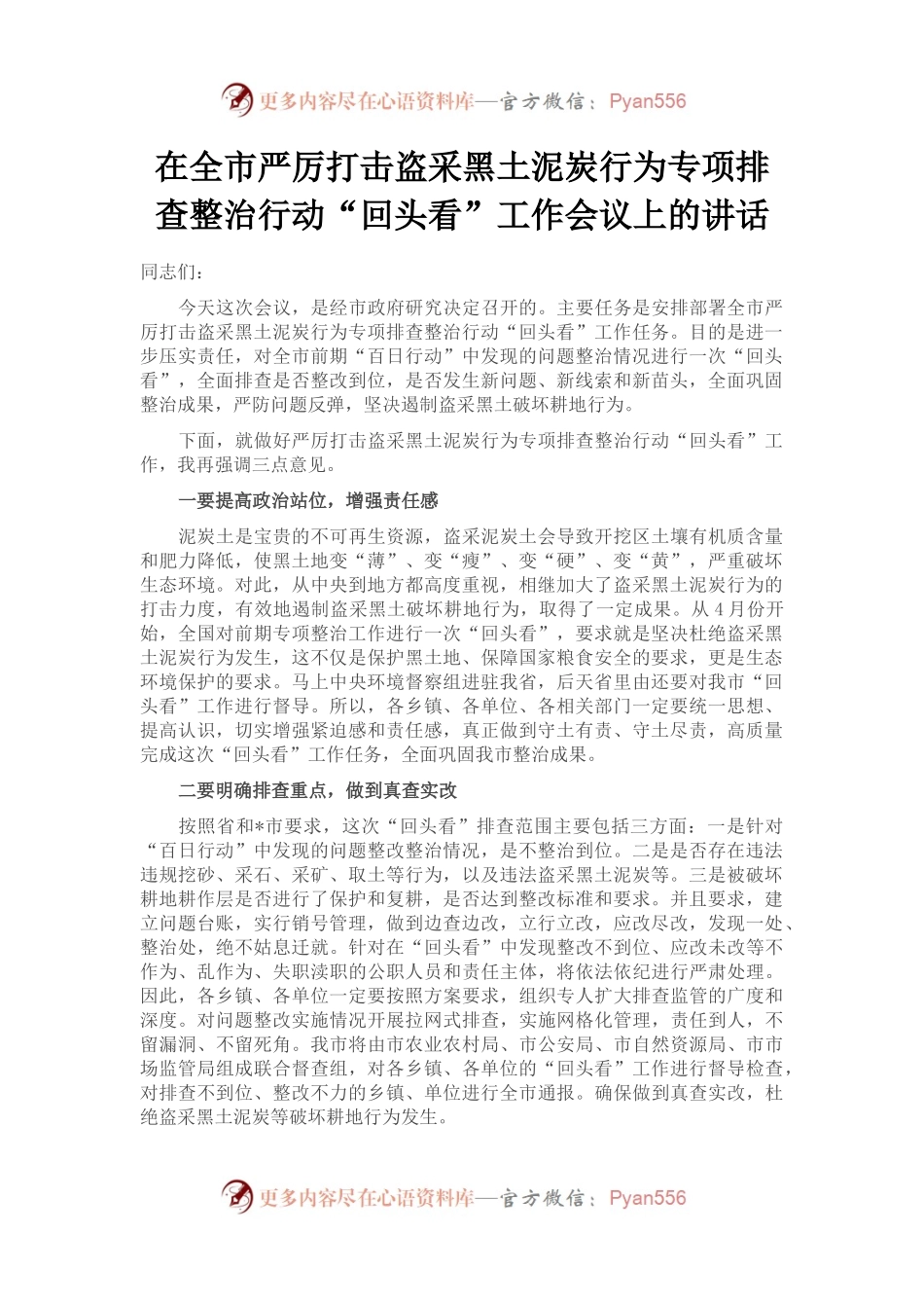 在全市严厉打击盗采黑土泥炭行为专项排查整治行动“回头看”工作会议上的讲话.docx_第1页