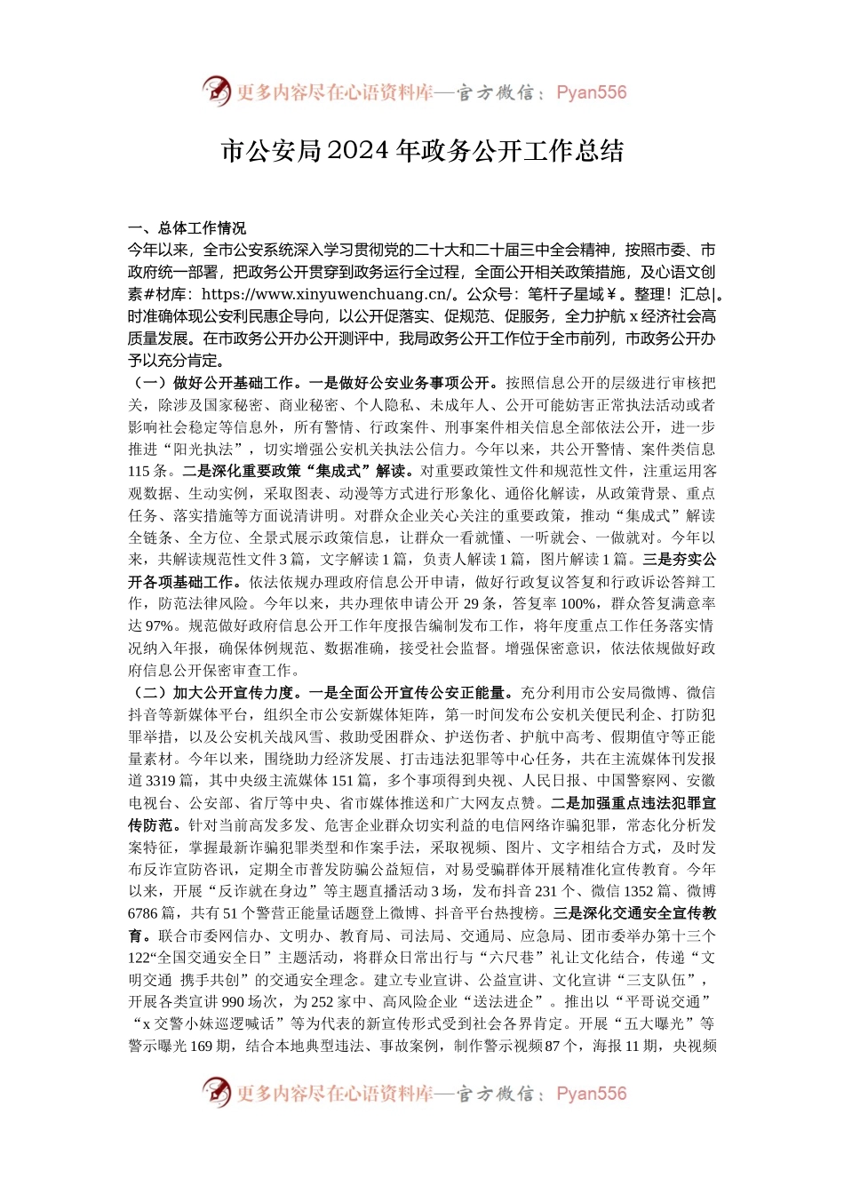 市公安局2024年政务公开工作总结.docx_第1页