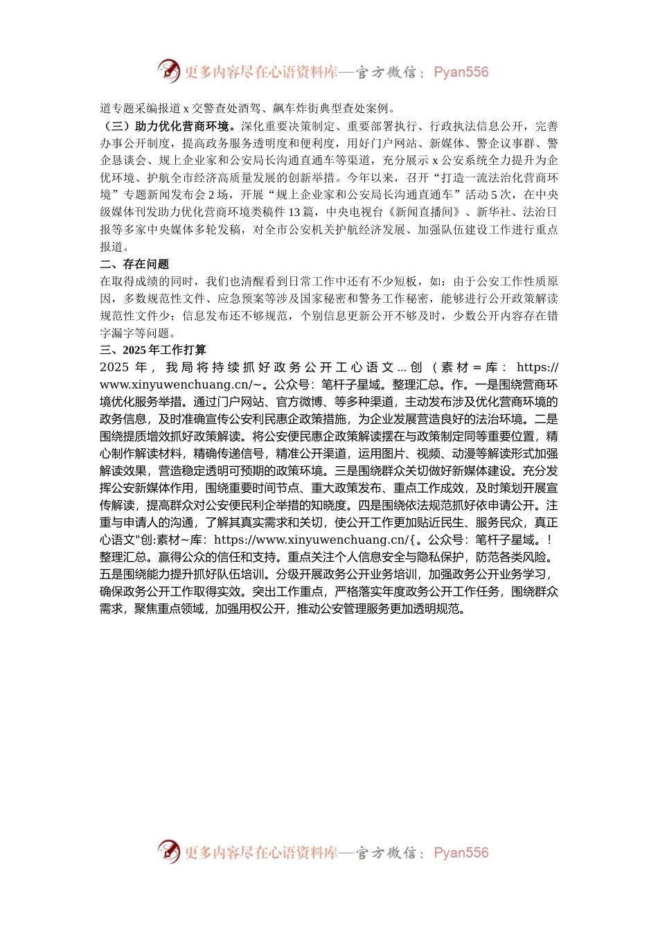 市公安局2024年政务公开工作总结.docx_第2页
