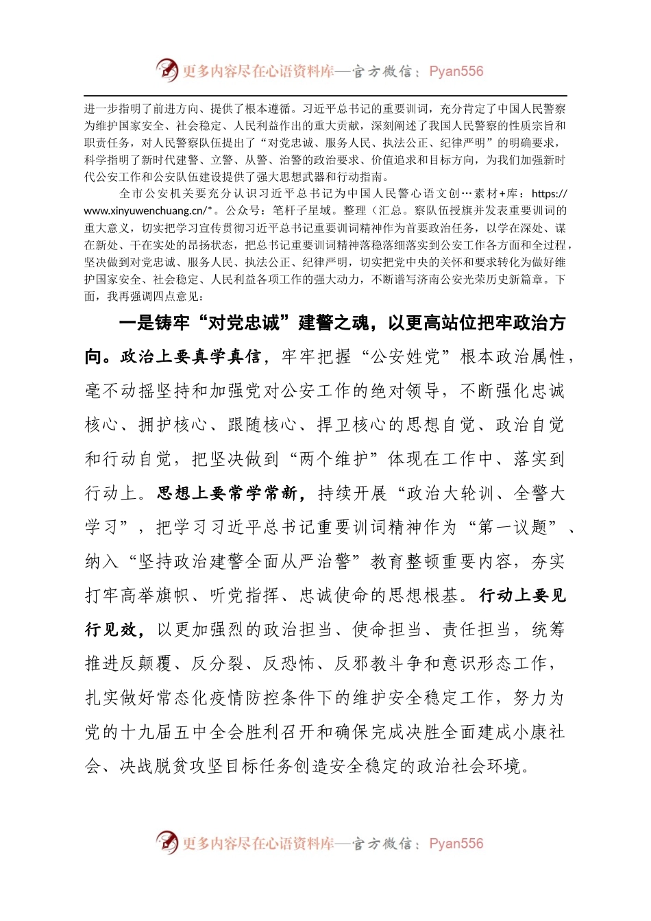 市公安局党委学习授旗仪式重要训词精神讲话(1).docx_第2页