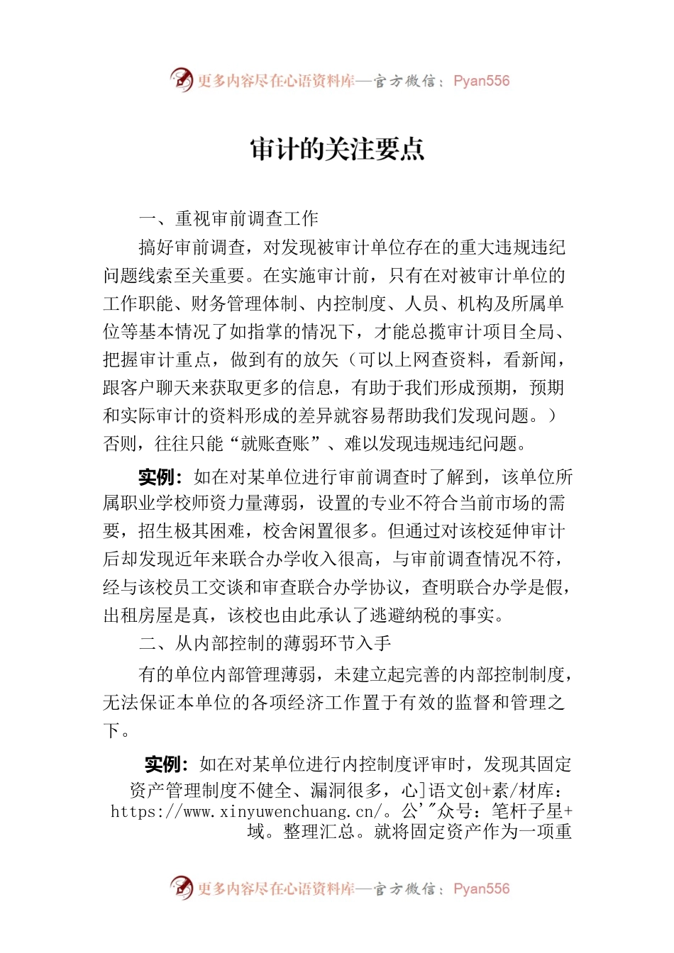 审计的关注要点.docx_第1页