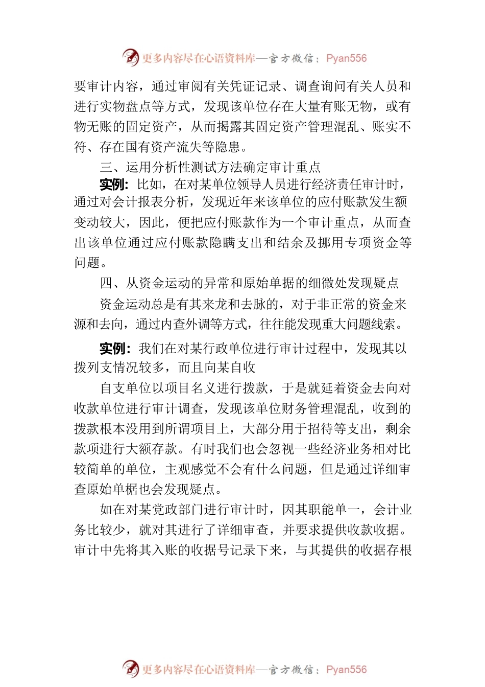 审计的关注要点.docx_第2页