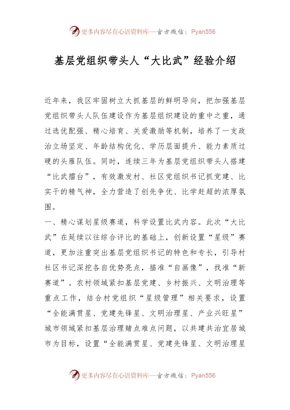 基层党组织带头人“大比武”经验介绍.docx_第1页