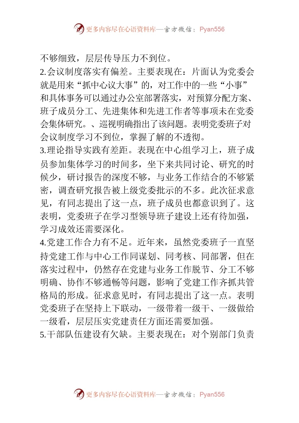 巡视反馈意见整改专题民主生活会对照检查.docx_第2页