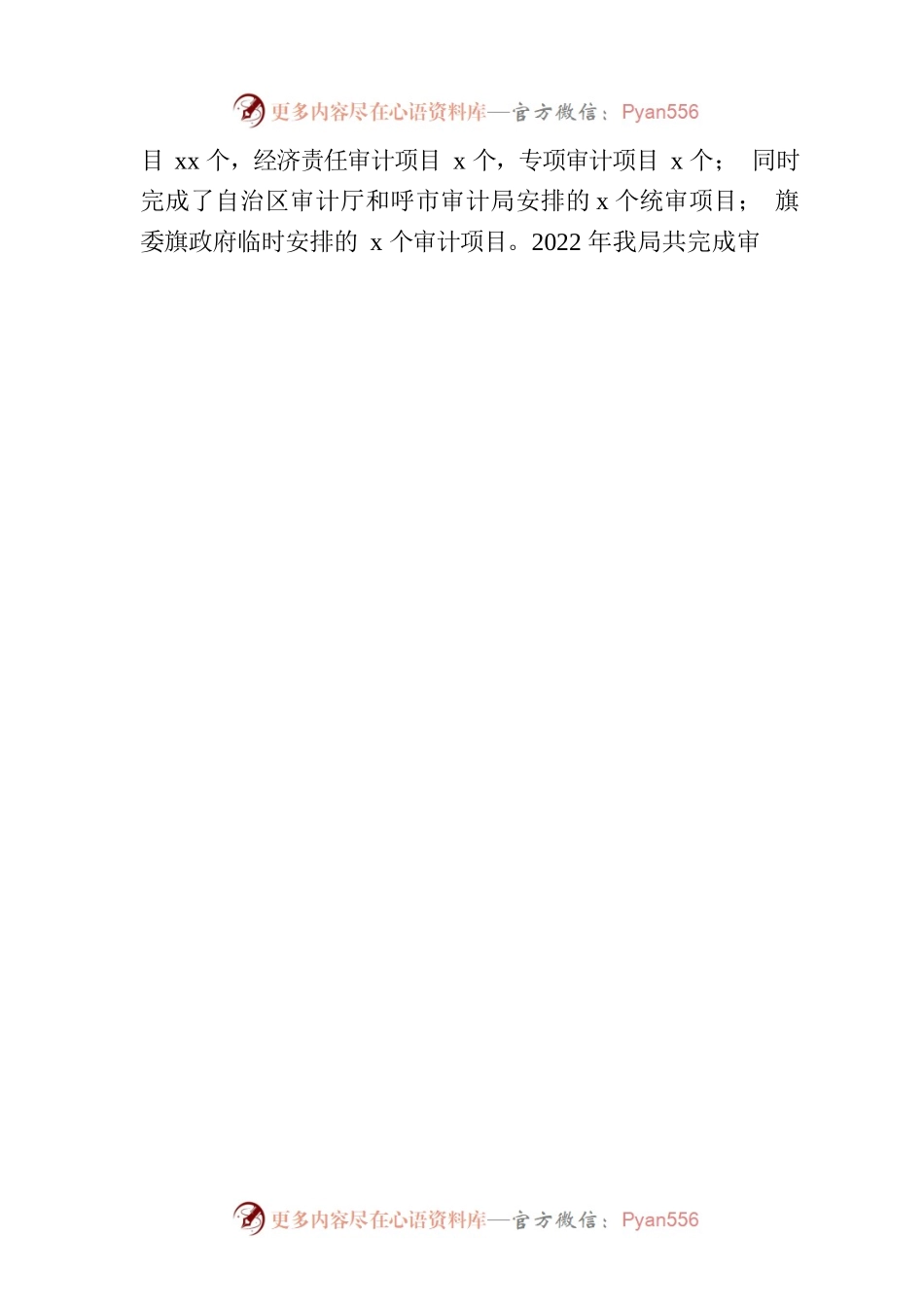 审计局局长在2023年审计工作动员会上的讲话.docx_第2页