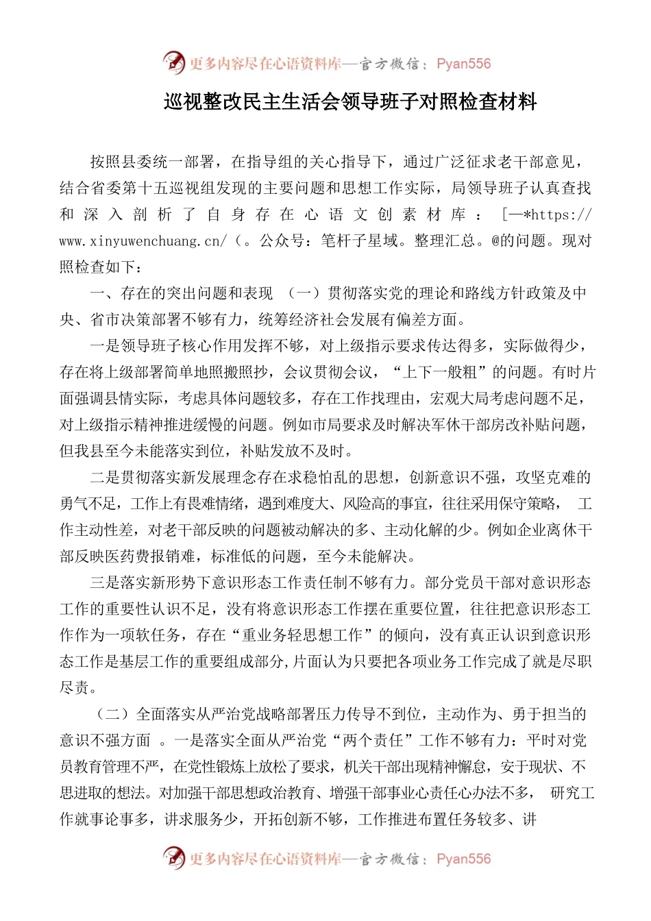 巡视整改民主生活会领导班子对照检查材料.docx_第1页
