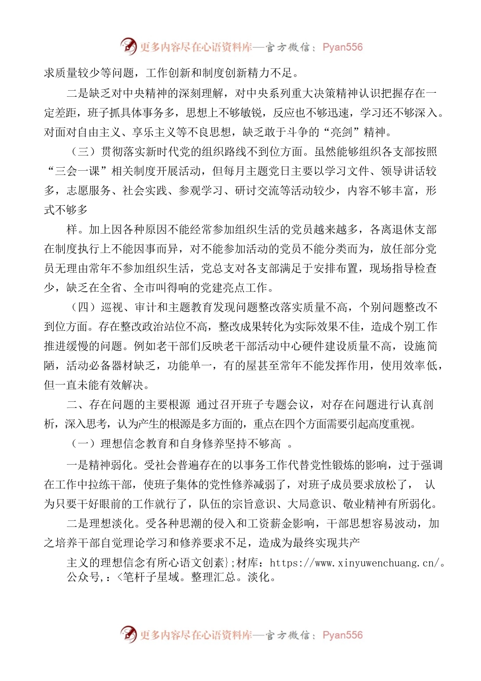 巡视整改民主生活会领导班子对照检查材料.docx_第2页