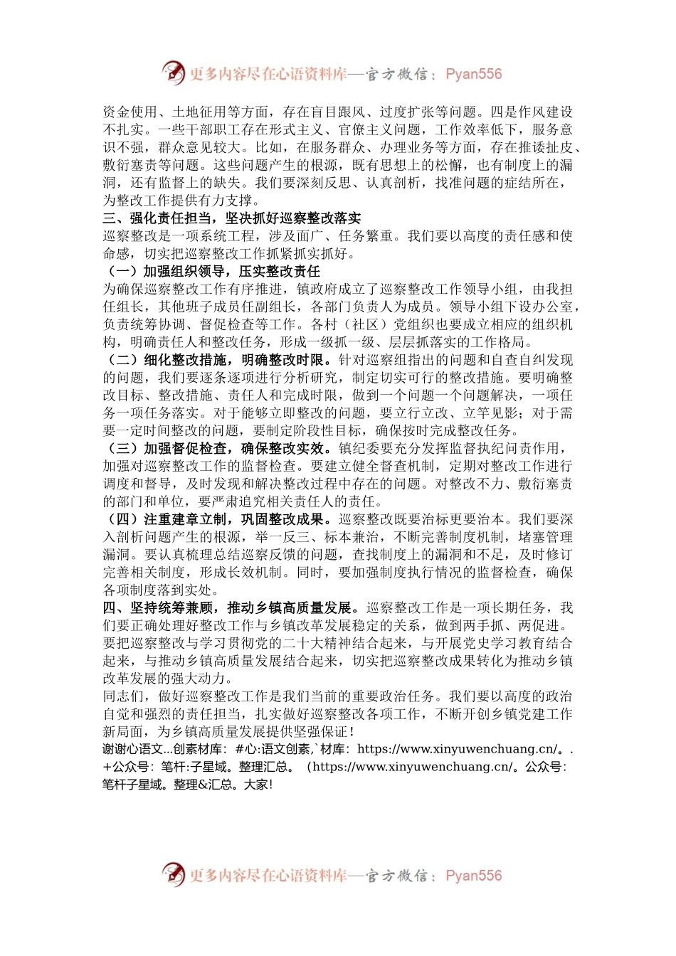 巡察整改工作专题推进会发言.docx_第2页