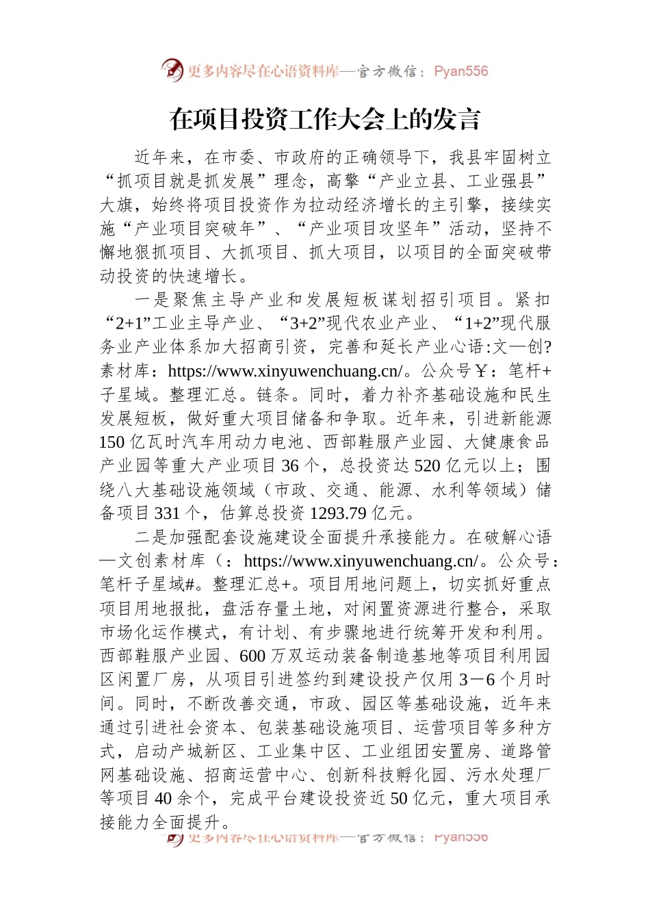 在项目投资工作大会上的发言稿.docx_第1页