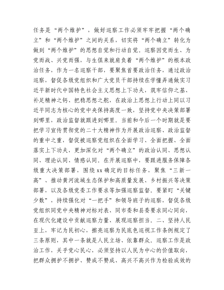 巡察干部在纪检监察干部队伍教育整顿交流会上的研讨发言2700字.docx_第2页