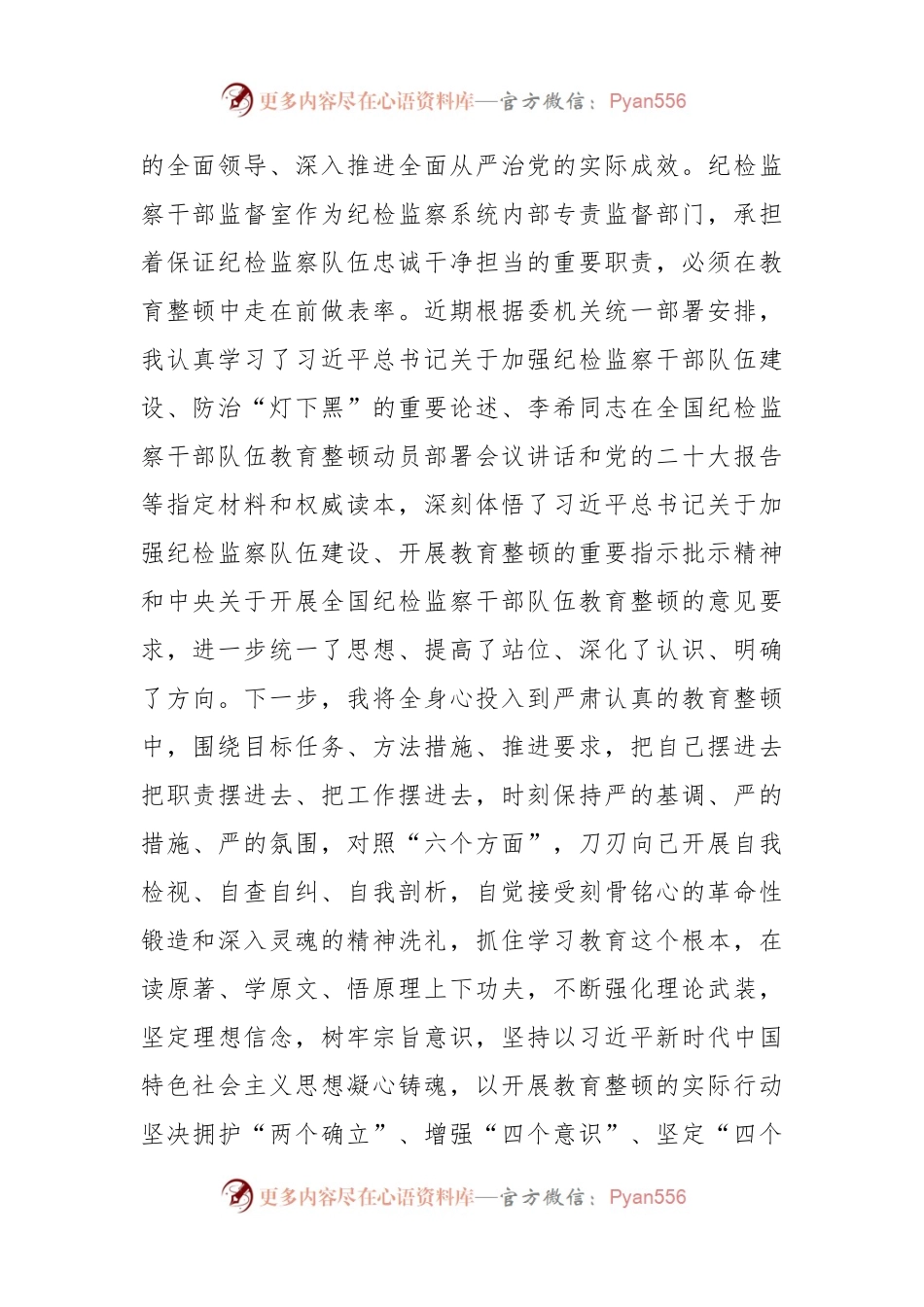 在纪检监察干部队伍教育整顿研讨会上的研讨发言稿.docx_第2页