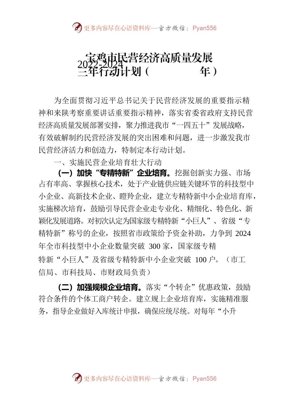 宝鸡市民营经济高质量发展三年行动计划（2022-2024年）.docx_第1页