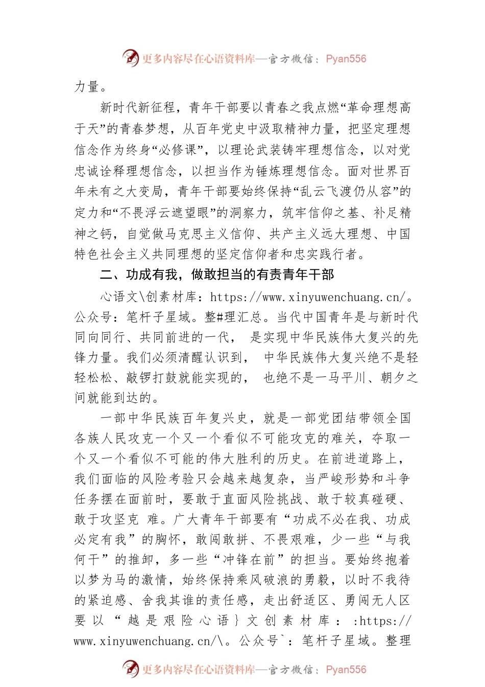 在青年干部动员工作会上的讲话：让青春在火热实践中绽放绚丽之花.docx_第2页