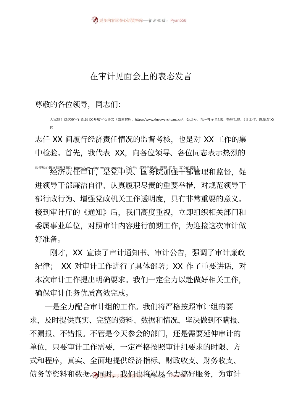 审计见面会表态发言.docx_第1页
