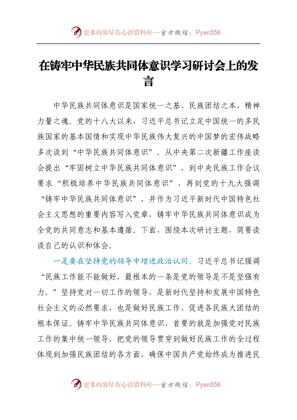 在铸牢中华民族共同体意识学习研讨会上的发言.docx_第1页